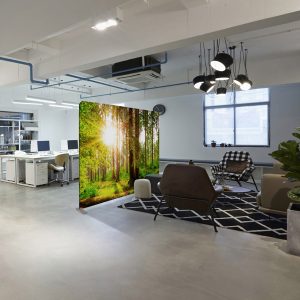 Divisorio in tessuto Wall Decor - 300 x H 230 cm - bosco - Studio T - immagine 2