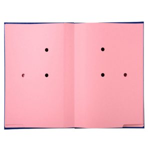 Libro firma - 20 pagine  24 X 35 cm - blu - Exacompta - immagine 2