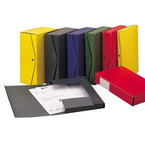 Scatola archivio Project - dorso 4 cm - 25 x 35 cm - blu - Esselte - immagine 1