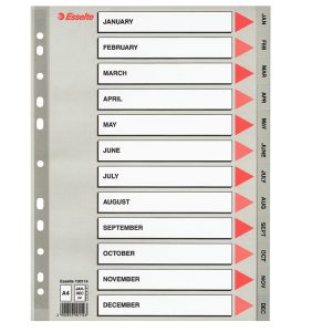 Separatore mensile Gen/Dic - PPL - A4 - grigio - Esselte - immagine 1