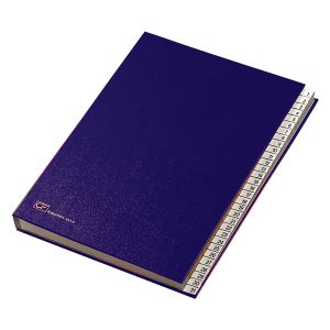 Classificatore numerico 1/31 - 643E - 24x34 cm - blu - Fraschini - immagine 1