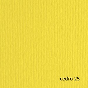 Cartoncino Elle Erre - 70x100cm - 220gr - cedro 125 - Fabriano - blister 10 fogli - immagine 1