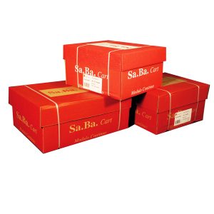 Carta in modulo continuo - 24 x 12 - 60 gr - piste fisse - bianco - Sabacart - conf. 2000 fogli - immagine 1