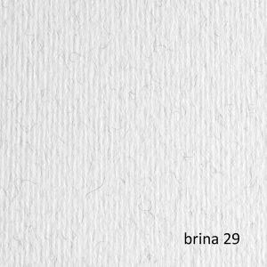 Cartoncino Elle Erre - 70x100cm - 220gr - brina 129 - Fabriano - blister 10 fogli - immagine 1