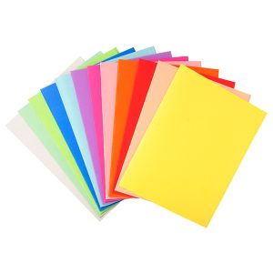 Cartelline semplici Forever - 220 gr - 24x32 cm - mix 10 colori - Exacompta - conf. 100 pezzi - immagine 1