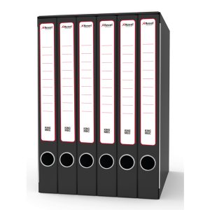 Gruppo registratori Sestetto - con 6 cartelle 3 lembi - 25,5x34,5 cm - dorso 23 cm - grigio - Rexel - immagine 1