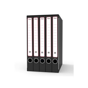 Gruppo registratori Sestetto - con 6 cartelle ad anelli - 25,5x34,5 cm - dorso 23 cm - grigio - Rexel - immagine 1