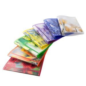 Raccoglitore personalizzabile Myto TI - 4 anelli a D 17 mm - dorso 2,5 cm - 22x30 cm - colori assortiti - Sei Rota - immagine 2