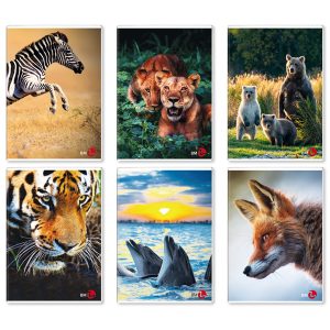 Maxiquaderno Animal fantasia - A4 - 40+2 fogli - 80gr - 1rigo c/margine - BM - immagine 1