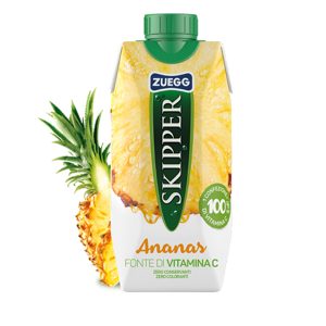 Succo Skipper - gusto ananas - Zuegg - brick 330 ml - immagine 1