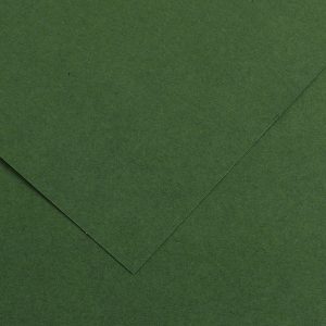 Foglio Colorline - 70x100 cm - 220 gr - verde abete - Canson - immagine 1
