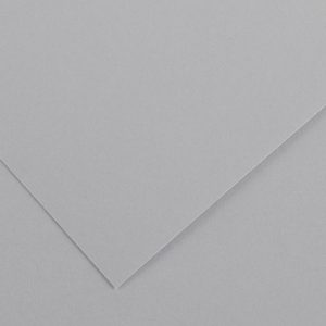 Foglio Colorline - 70x100 cm - 220 gr - grigio chiaro - Canson - immagine 1