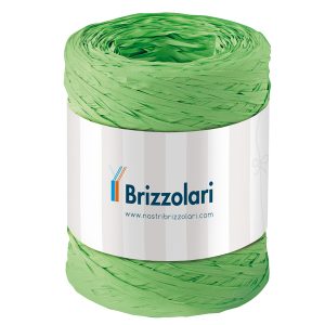 Nastro Rafia sintetica - verde chiaro 10 - 5mmx200mt - Brizzolari - immagine 1