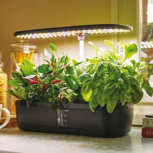 Orto idroponico indoor - 20 x 18 x 40 cm - Verdemax - immagine 2