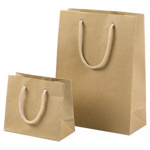 Shopper - maniglie cordino cotone - 12 x 15 + 7 cm - 160 gr - carta kraft - avana - PNP - conf. 12 pezzi - immagine 1