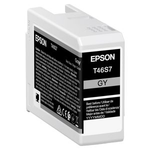 Epson - Cartuccia UltraChrome Pro 10 - Grigio - C13T46S700 - 25 ml - immagine 1