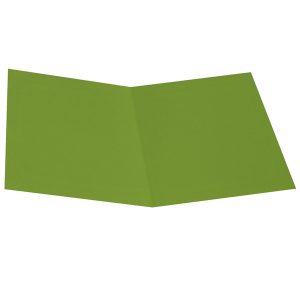 Cartellina semplice - 200 gr - cartoncino bristol - verde nilo - Starline - conf. 50 pezzi - immagine 1