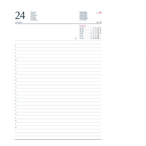 Agenda giornaliera 2025 - copertina in carta imbottita - 17 x 24 cm - verde - immagine 2