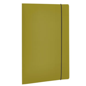 Cartellina 3 lembi HOLOS - PP - 25x35cm - verde - Fellowes - immagine 1