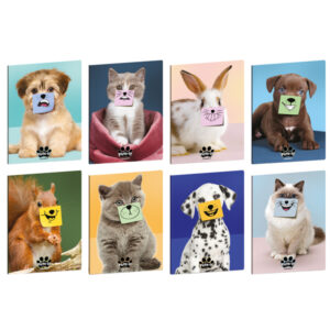 Maxiquaderno Pets-IT - A4 - 5mm - 21 fogli - 80 gr - Blasetti - immagine 1