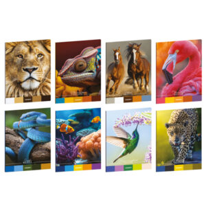 Maxiquaderno Animal Palette - A4 - rigo di 1a - 21 fogli - 80 gr - Blasetti - immagine 1