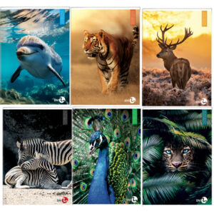 Maxiquaderno Animal fantasia - A4 - 40+2 fogli - 80gr - 5mm - BM - immagine 1